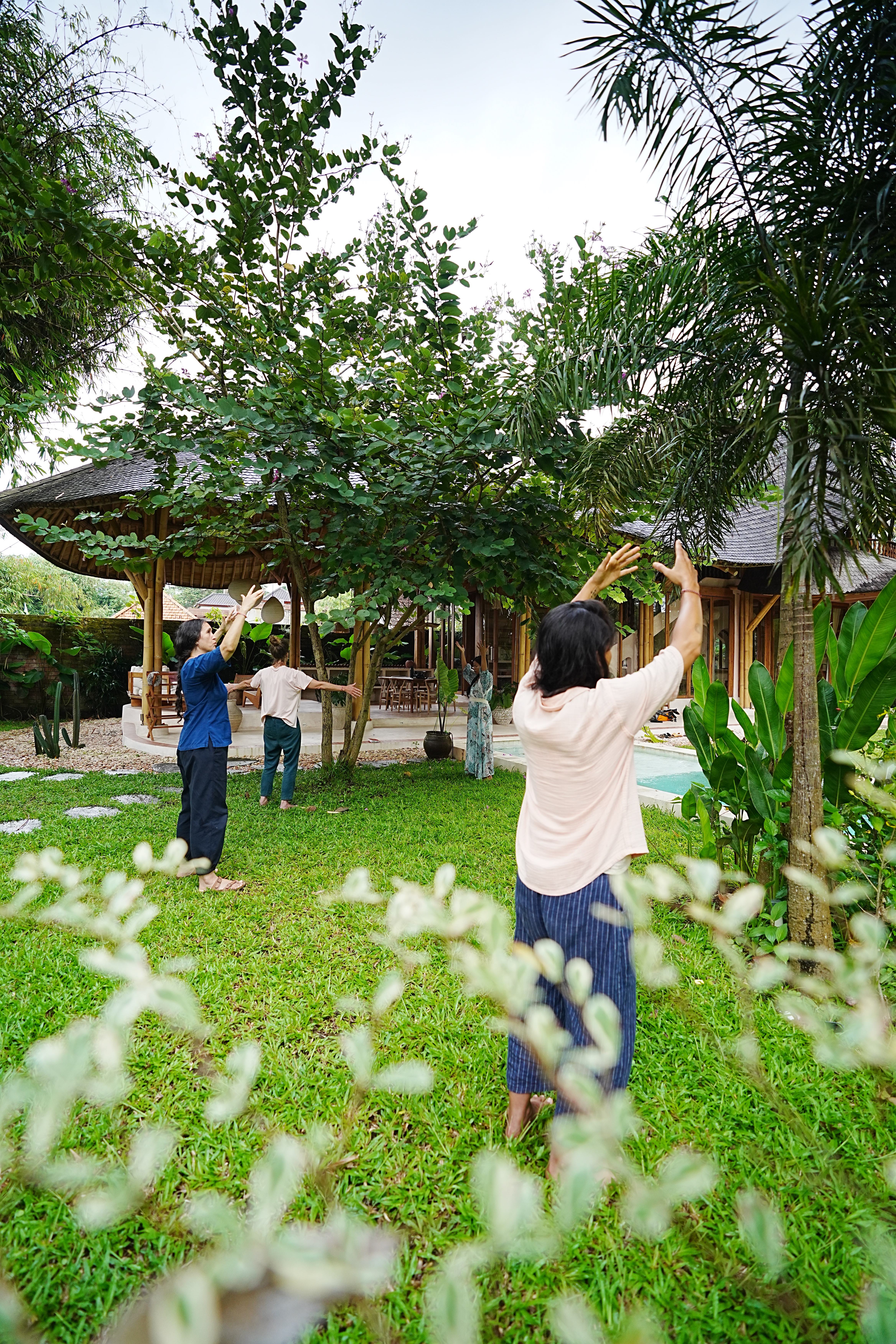 Tree Qigong